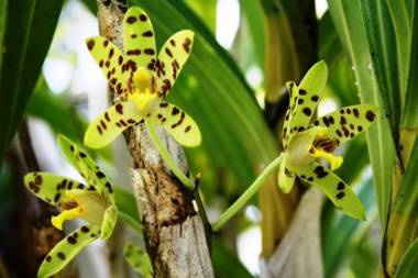 LEMON BEACH LODGE Vilankulo
