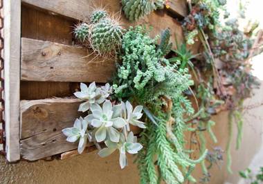 RnB's Studio Apartment