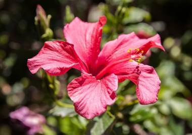 Stay Cleverly Self Catering Apartments