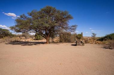 Canyon Roadhouse Campsite