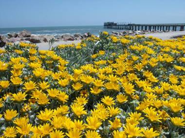 Chala-Kigi Apartments