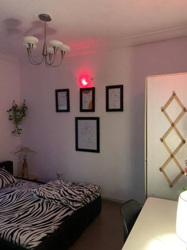 Lovely one bedroom apartments 