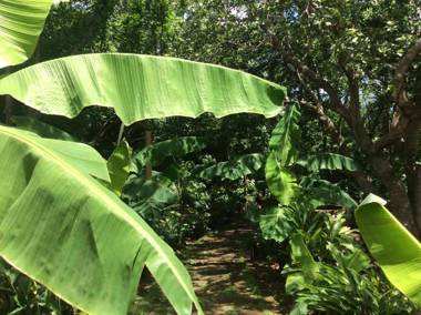 Dreamsea Surf Resort Nicaragua