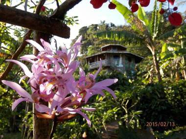 Finca Neblina del Bosque