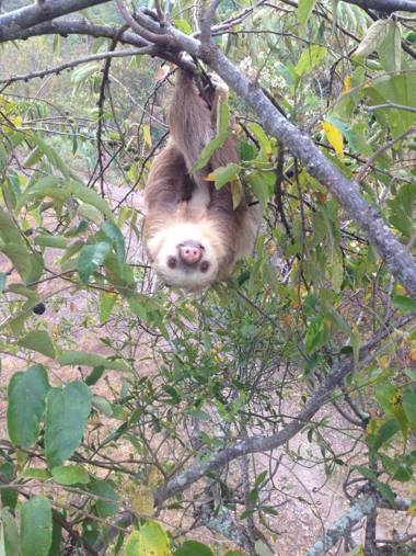 Tierra Alta Ecolodge