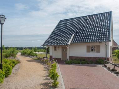 Luxurious detached villa with 3 bathrooms in De Maasduinen