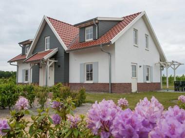 Luxurious detached villa with washer in De Maasduinen area