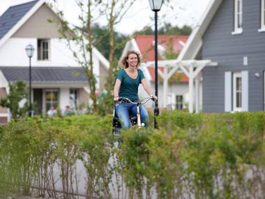 Luxurious detached villa with washer in De Maasduinen area