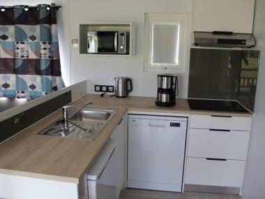 Modern 6 person chalet in Frisian nature