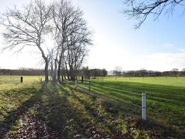 Wonderful Holiday Home in Zuidwolde with Terrace Garden