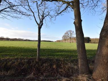 Wonderful Holiday Home in Zuidwolde with Terrace Garden