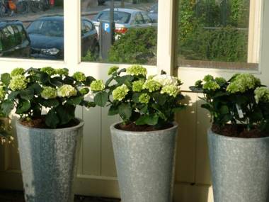 Appartementen aan den Hogeweg