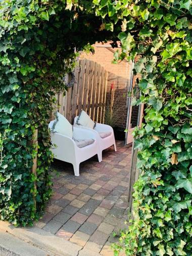 Apartment Sunflower Zandvoort