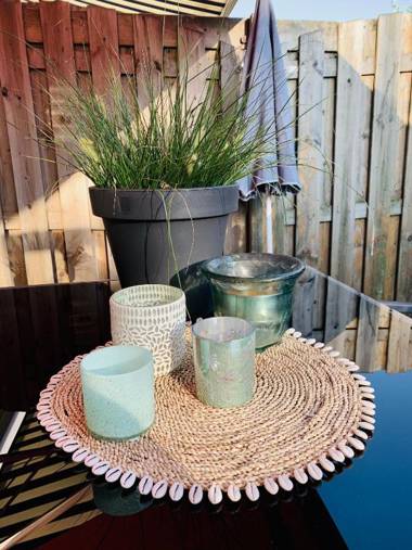 Apartment Sunflower Zandvoort