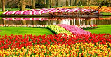 Het Wapen van Harmelen