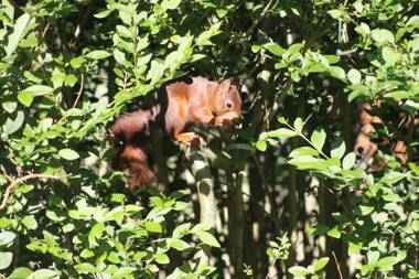 TopParken – Recreatiepark de Wielerbaan