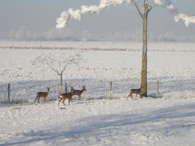 Havezathe Carpe Diem