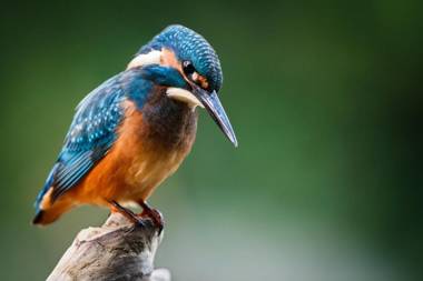 Boutique Hotel Beekhuizen