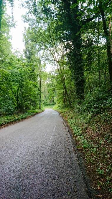 Bike B&B Brakke Berg