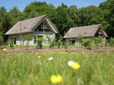Thatched villa with two bathrooms at 8 km. from Hoogeveen