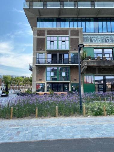 Bed Bites & Business Hotel Rotterdam