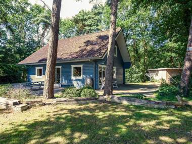 Alluring Holiday Home in Norg with Sauna Terrace Garden