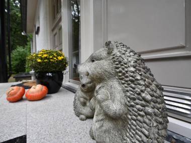 Lovely 6-person holiday home with garden set in the woods of Rijssen-Holten