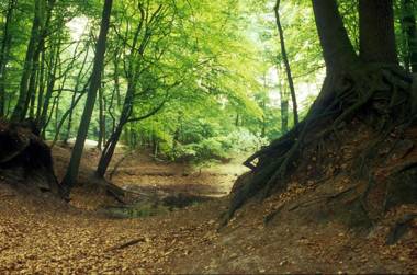 Vakantiepark de Thijmse Berg