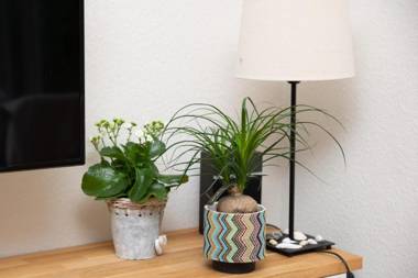 Holidayhouse - Horizon 3 Renesse