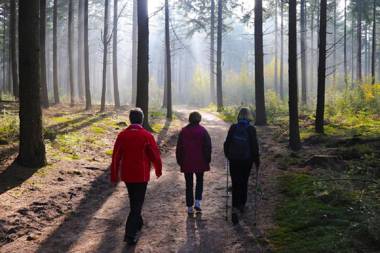 Hampshire Boshotel - Overberg