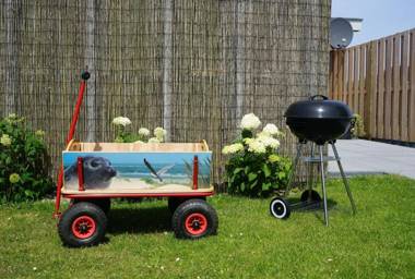 Bungalow De krukel - Ouddorp fenced garden near the beach and dunes - not for companies