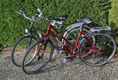 Holiday home Mosselbank 22 - Noordzeepark Ouddorp - for the use of the sauna additional costs are applicable- big fenced garden grill near the beach - not for companies