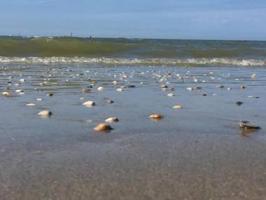 SEA YOU Hotel Noordwijk
