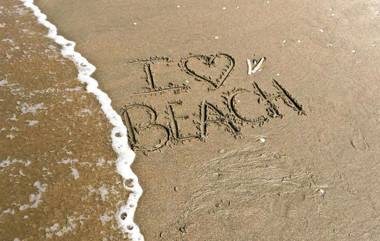 The Flying Pig Beach Hostel