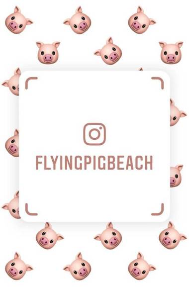 The Flying Pig Beach Hostel