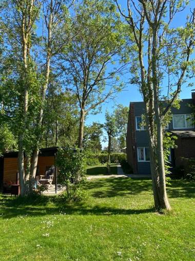 Lepelblad 7 Nieuwvliet