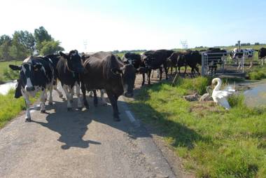 Farm Overleekerhoeve