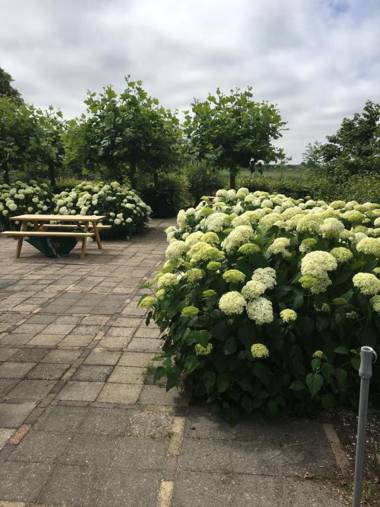 't Wapen van Middelie