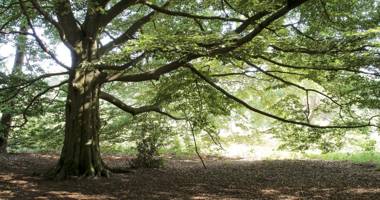 Landhuis Hotel de Herikerberg