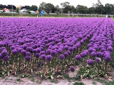 Bed & Breakfast De Vier Seizoenen