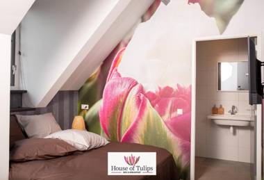 House of Tulips