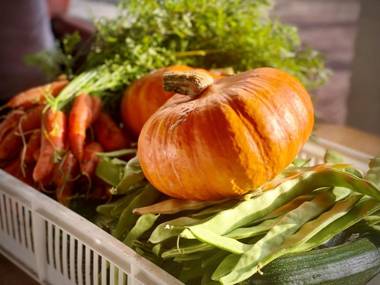 De Guldenberg 's-Hertogenbosch Helvoirt