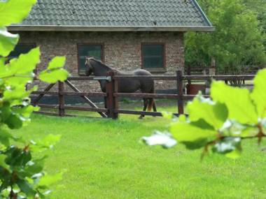 Holiday home for two people at a peaceful central location in Heiloo near Egmond