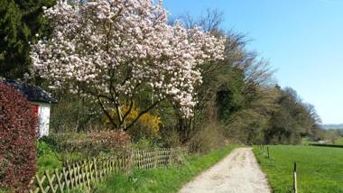 Hotel-Appartementen Vouwere