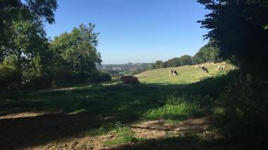 De Auw Sjoekelaatfabriek