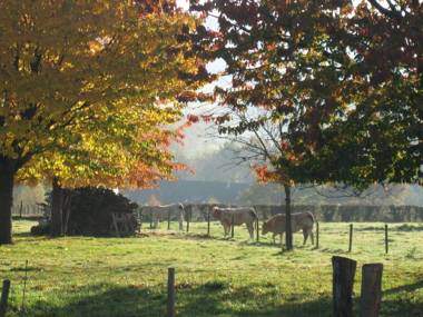 Elegant Holiday Home in Epen with Fenced Garden