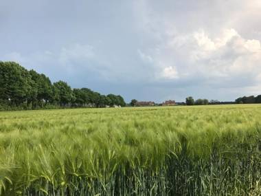 Appartementen De Zegelskoël
