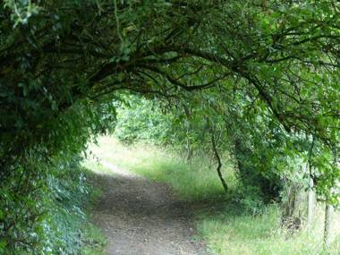 Appartementen De Zegelskoël