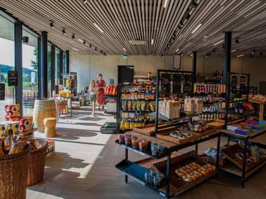 Luxury lodge with roof terrace Maastricht at 17km