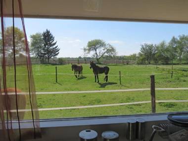 Gastenhuis de Veenstraal